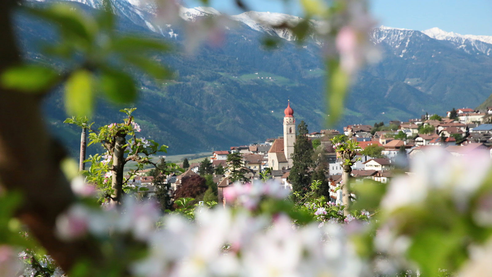Esperienza di primavera